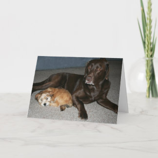 Carte d'anniversaire de frère