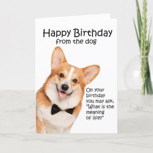 Carte d'anniversaire de Funny Corgi