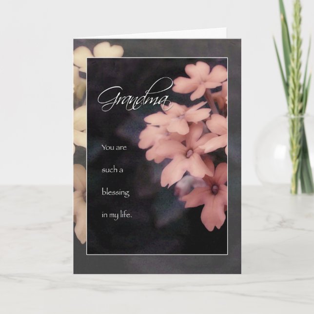 Carte d'anniversaire de Garden Phlox Flower pour g (Devant)