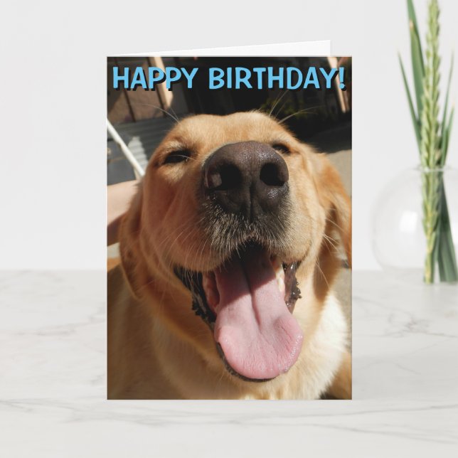 Carte d'anniversaire de golden retriever (Devant)