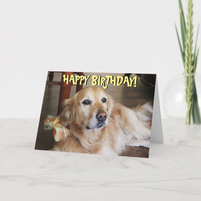 Carte d'anniversaire de golden retriever (Devant)