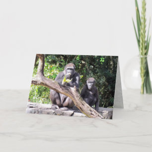 Carte d'anniversaire de Gorilla