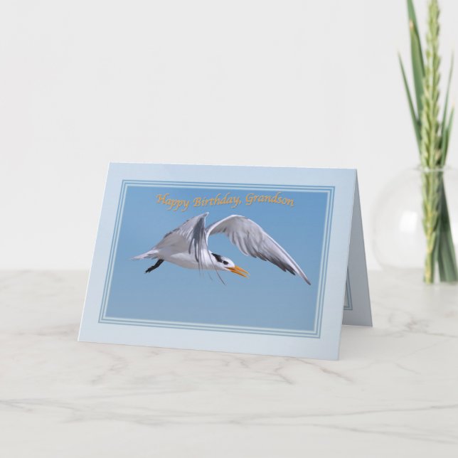 Carte d'anniversaire de Grandson avec Royal Tern B (Devant)