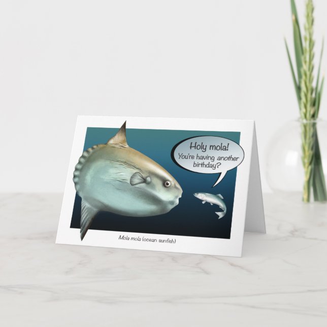 Carte d'anniversaire de Holy Mola (Devant)