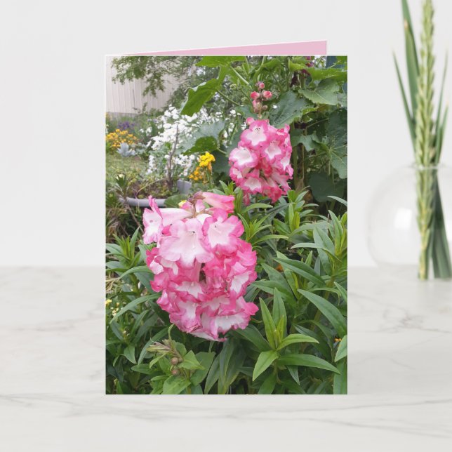 Carte d'anniversaire de Jardin de fleurs roses Pen (Devant)