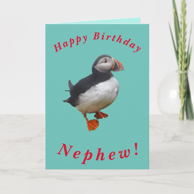 Carte d'anniversaire de la Cute Puffin pour Nephew (Devant)