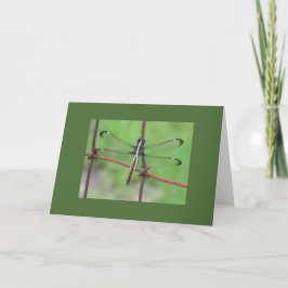 Carte d'anniversaire de la libellule