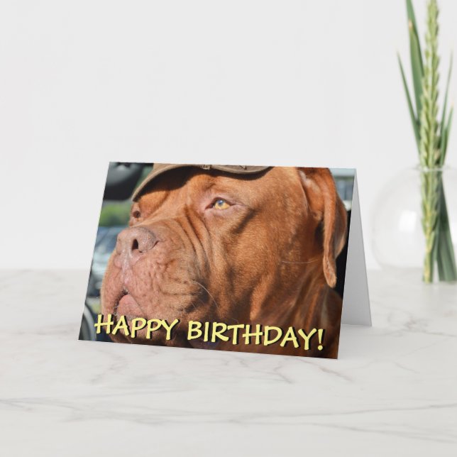 Carte d'anniversaire de la mignonne dogue de borde (Devant)