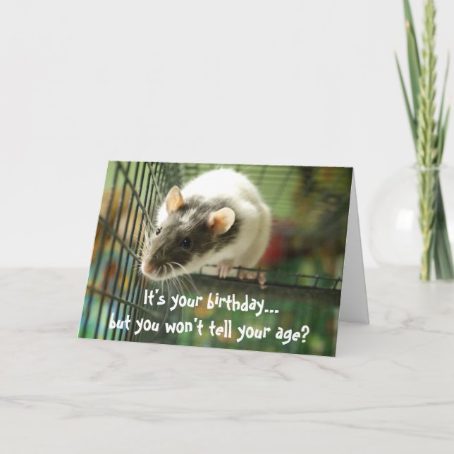 Carte d'anniversaire de la photo de rat drôle (Devant)