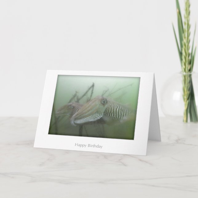 Carte d'anniversaire de la seiche (Devant)