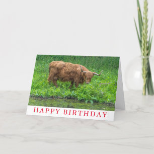 Carte d'anniversaire de la vache Highland