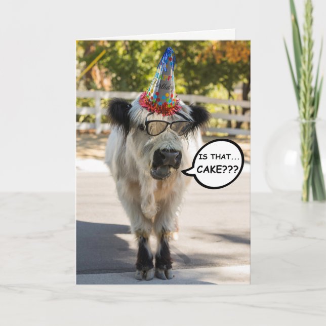Carte d'anniversaire de la Vache mignonne (Devant)