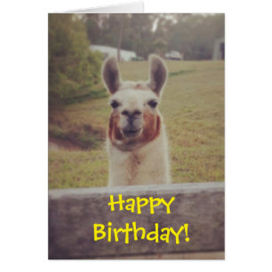 Carte d'anniversaire de lama