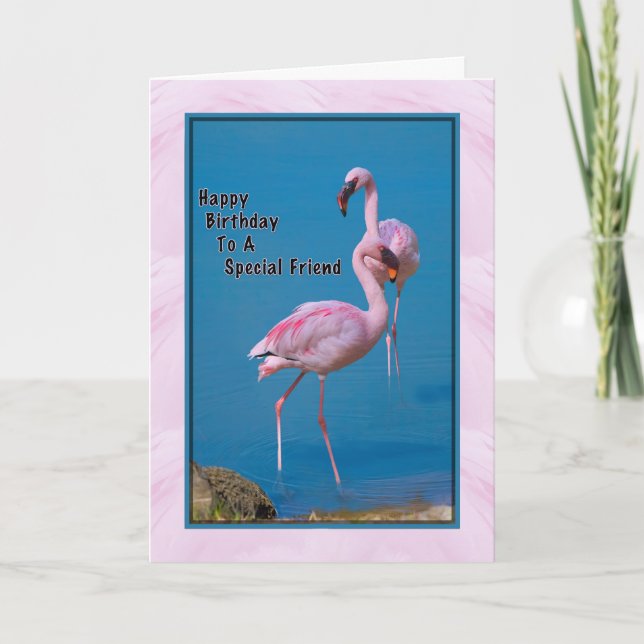 Carte d'anniversaire de l'ami avec Flamant rose ro (Devant)