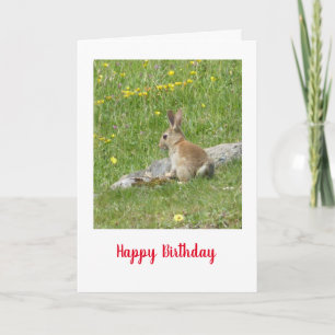 Carte d'anniversaire de lapin sauvage