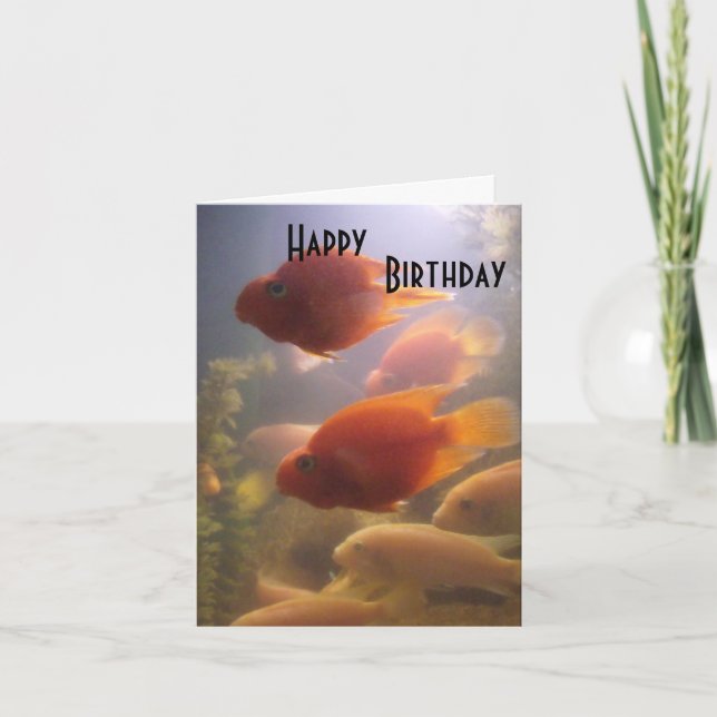 Carte d'anniversaire de l'aquarium (Devant)