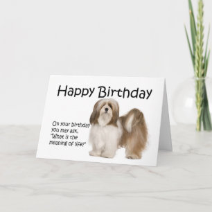 Carte d'anniversaire de Lhasa Apso