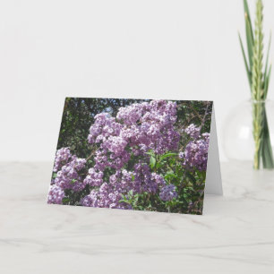 Carte d'anniversaire de lilas