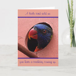 carte d'anniversaire de lorikeet
