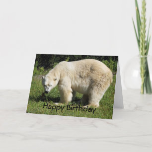 carte d'anniversaire de l'ours polaire