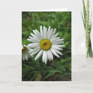 Carte d'anniversaire de marguerite