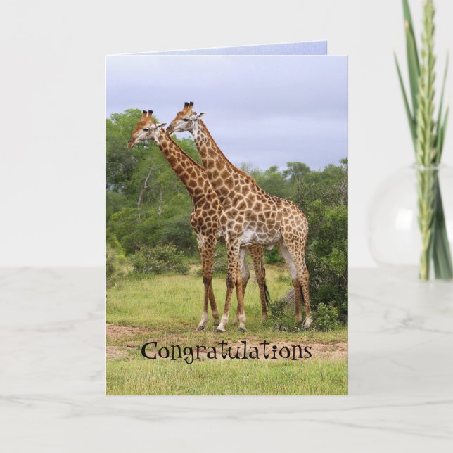Carte d'anniversaire de mariage avec des girafes F (Devant)