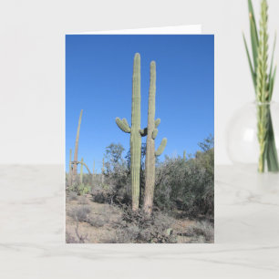 Carte d'anniversaire de mariage drôle Cactus