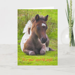 Carte d'anniversaire de naissance de Dartmoor Pony