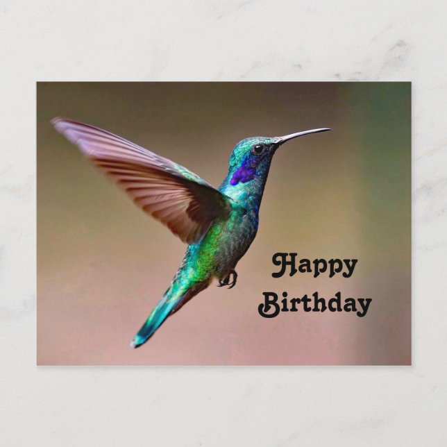 Carte d'anniversaire de photo de colibri vert faun (Devant)