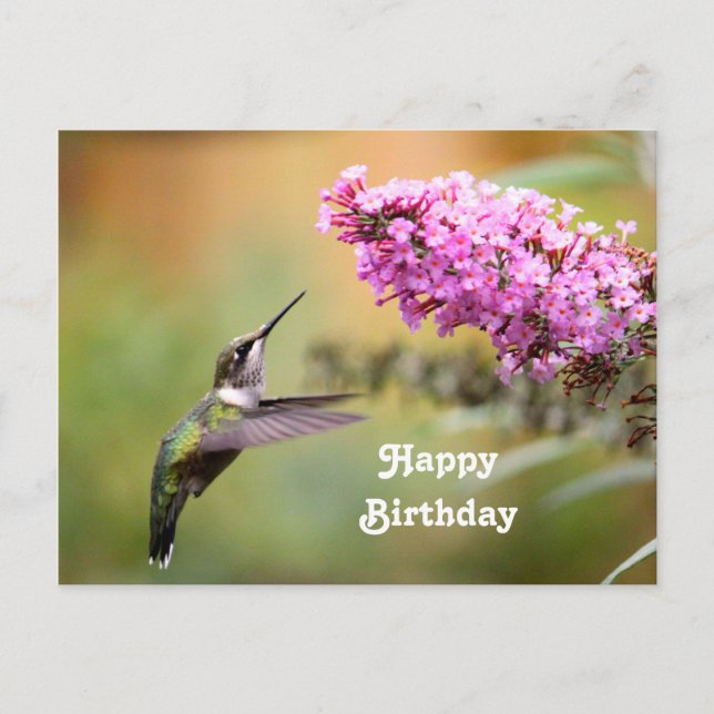 Carte d'anniversaire de photo florale de colibri f (Devant)