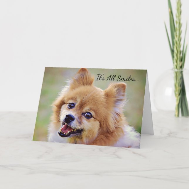 Carte d'anniversaire de Poméranie souriante (Devant)
