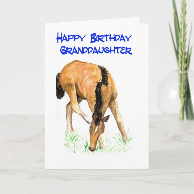 Carte d'anniversaire de "poulain" pour la (Devant)