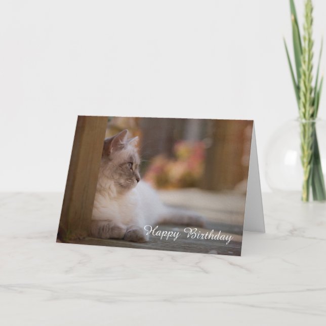 Carte d'anniversaire de Ragdoll (Devant)