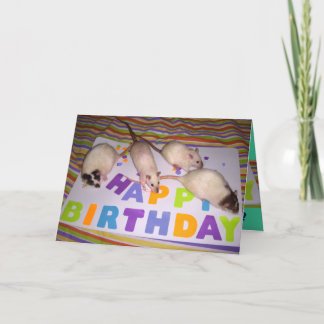 Carte d'anniversaire de rats ! v2