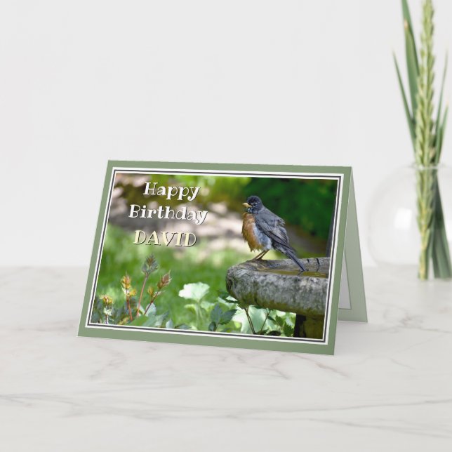 Carte d'anniversaire de Robin Funny (Devant)