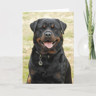 Carte d'anniversaire de rottweiler