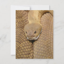 Carte d'anniversaire de serpent Joyeux serpent d'a