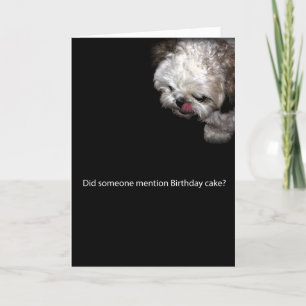 Carte d'anniversaire de Shih-Tzu
