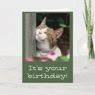 Carte d'anniversaire de sourire de chat