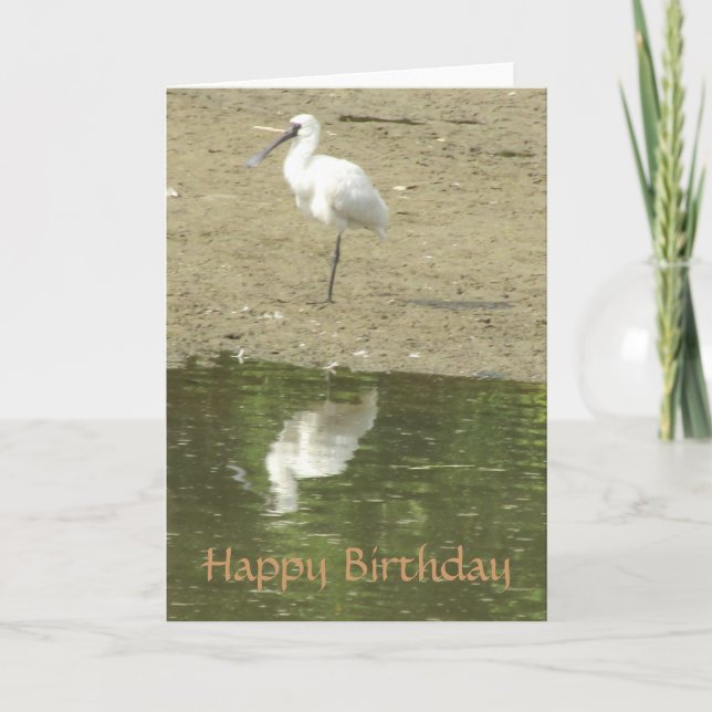 Carte d'anniversaire de Spoonbill (Devant)