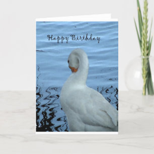 Carte d'anniversaire de Swan