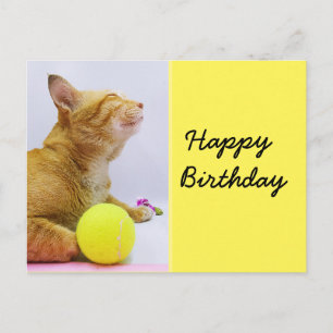 Carte d'anniversaire de tennis avec ginger cat et 