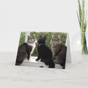 Carte d'anniversaire de trois amis "Time For Cake"