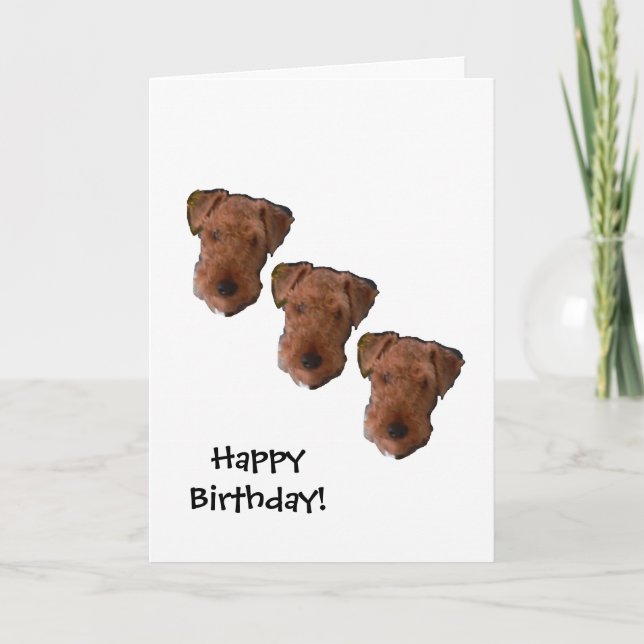 Carte d'anniversaire de trois chiens (Devant)