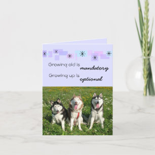Carte d'anniversaire de trois chiens de traîneau