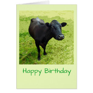 Carte d'anniversaire de vache d'Aberdeen Angus