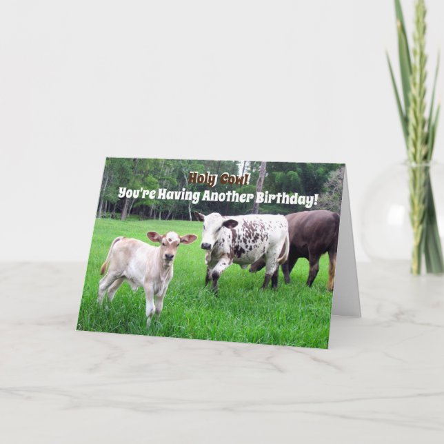 Carte d'anniversaire de vache - série agricole - c (Devant)