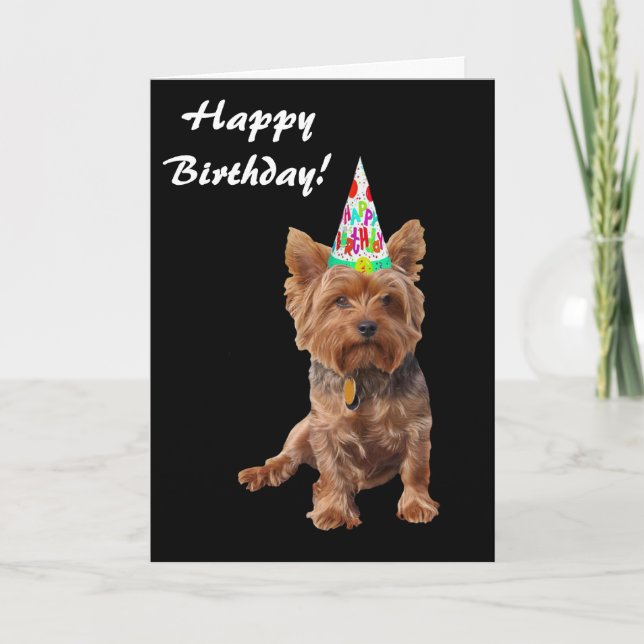 Carte d'anniversaire de Yorkshire Terrier de (Devant)
