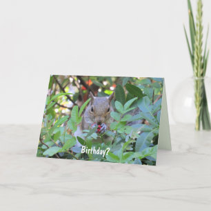 Carte d'anniversaire d'écureuil adorable