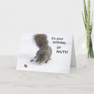 Carte d'anniversaire d'écureuil amusant - Go nut